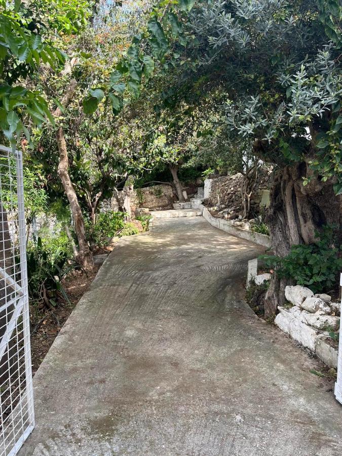 Aegean Summer House Порос Экстерьер фото