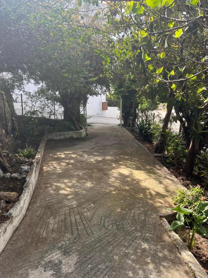 Aegean Summer House Порос Экстерьер фото